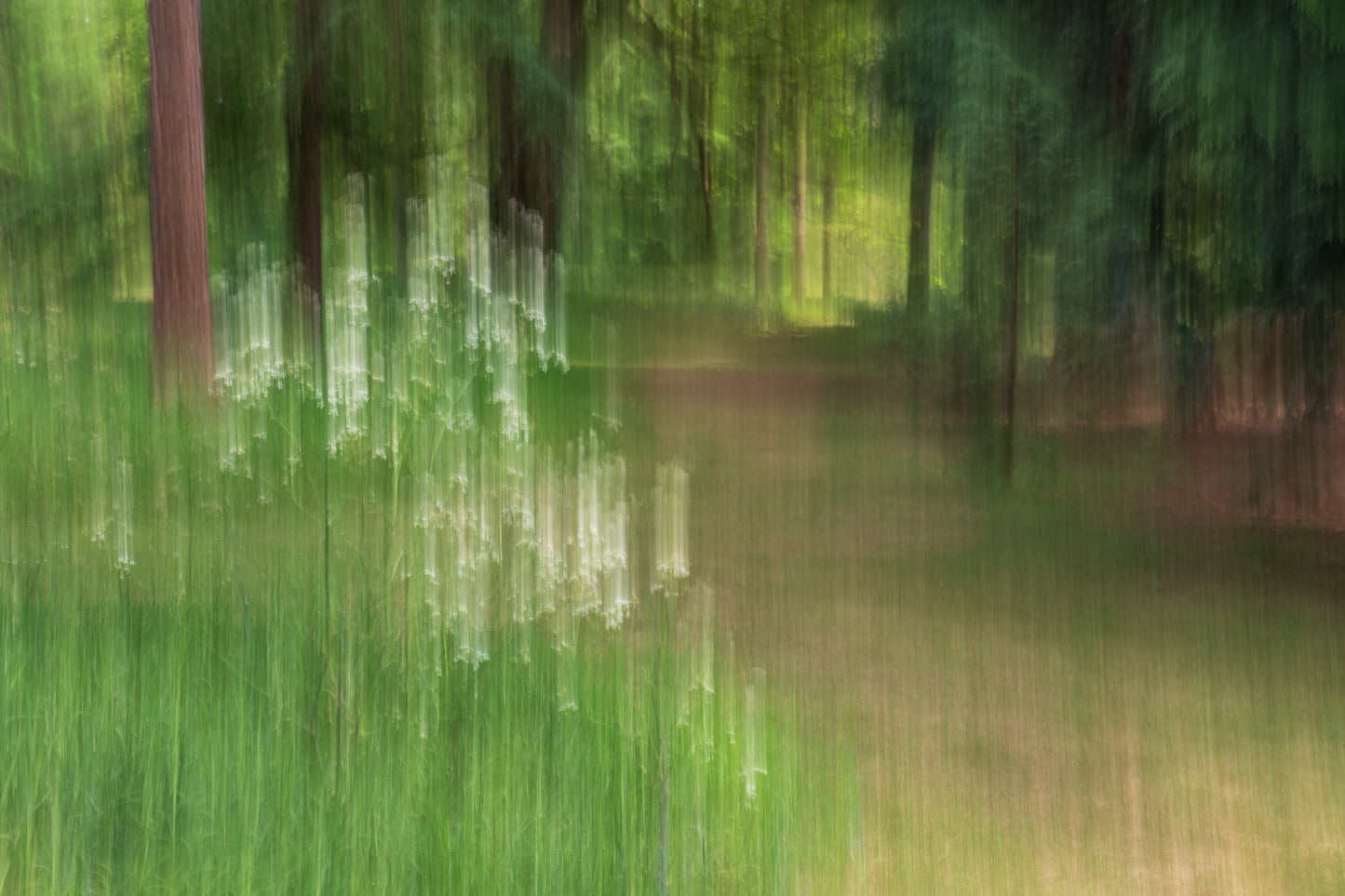 Nightingale Valley