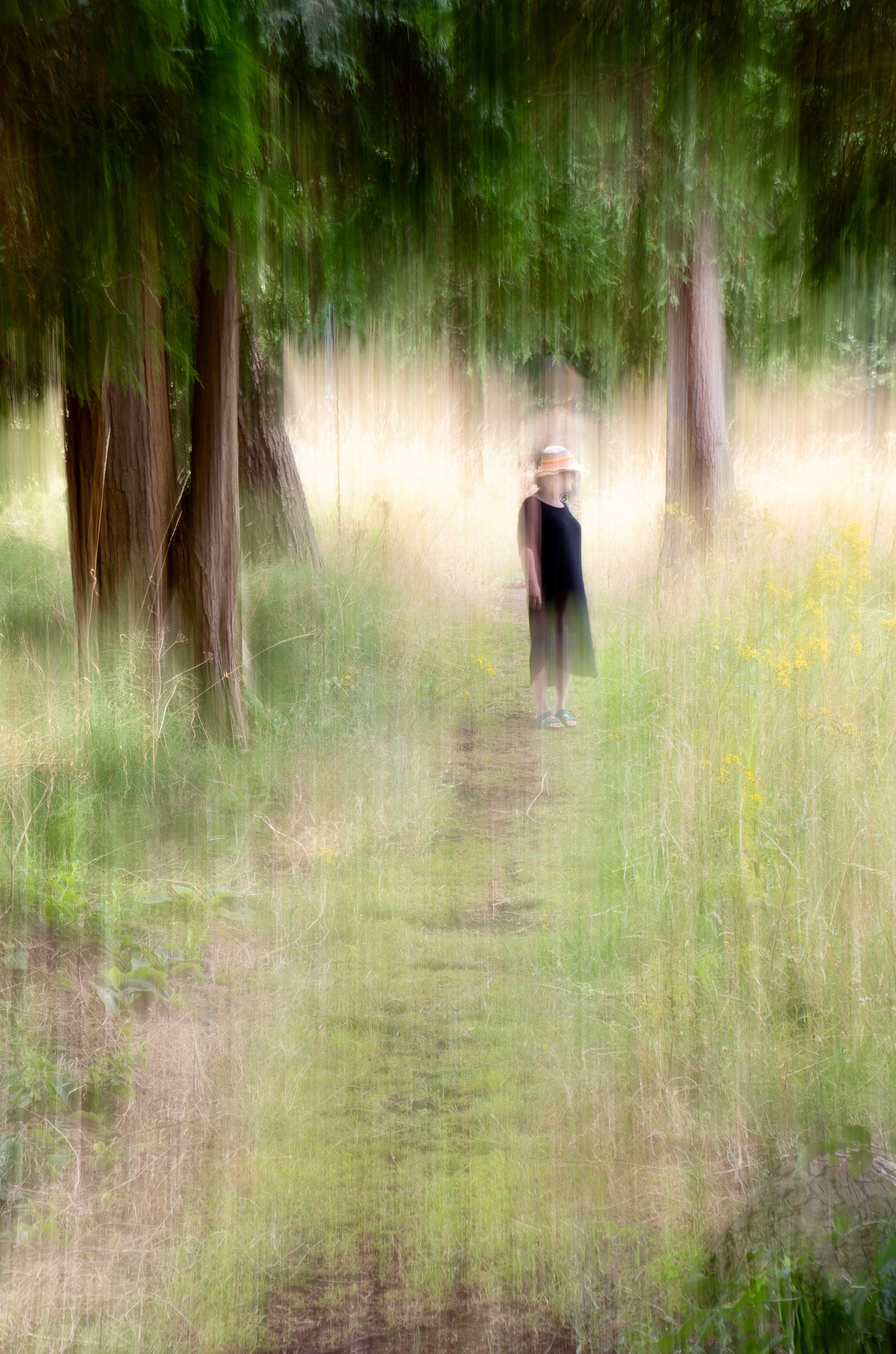Summer Days - Leigh Woods
